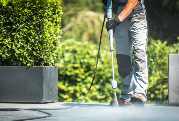 Best Brick and Stone Cleaning in Lake Bluff, IL